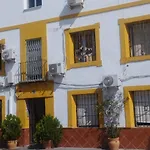 Mi Plaza Con Naranjos *
