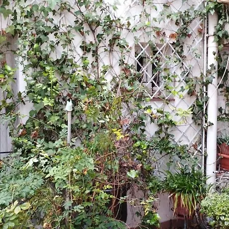 Sleep & Shower In A Typical District *