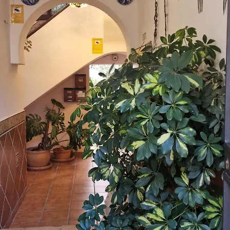 Sleep & Shower In A Typical District Apartamento