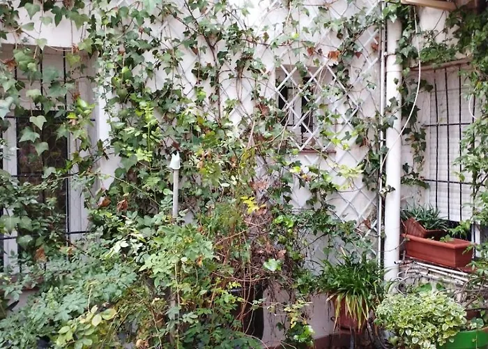 Mi Plaza Con Naranjos *