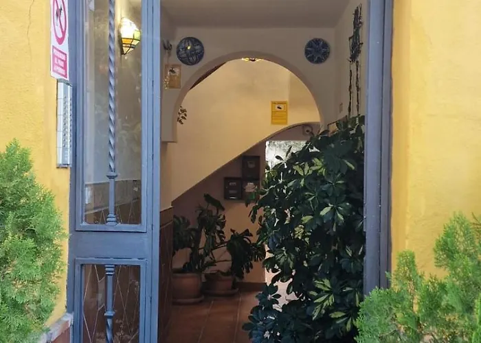 Mi Plaza Con Naranjos