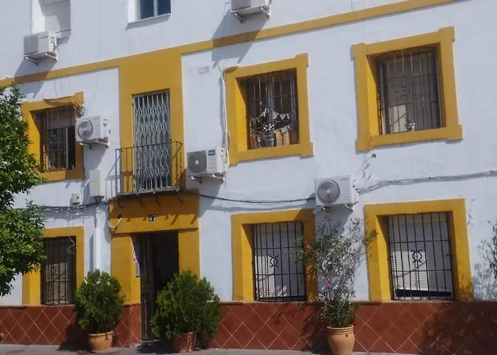 Mi Plaza Con Naranjos *