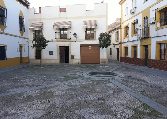 Mi Plaza Con Naranjos