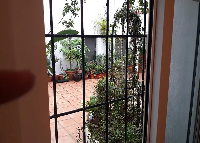 Apartman Mi Plaza Con Naranjos