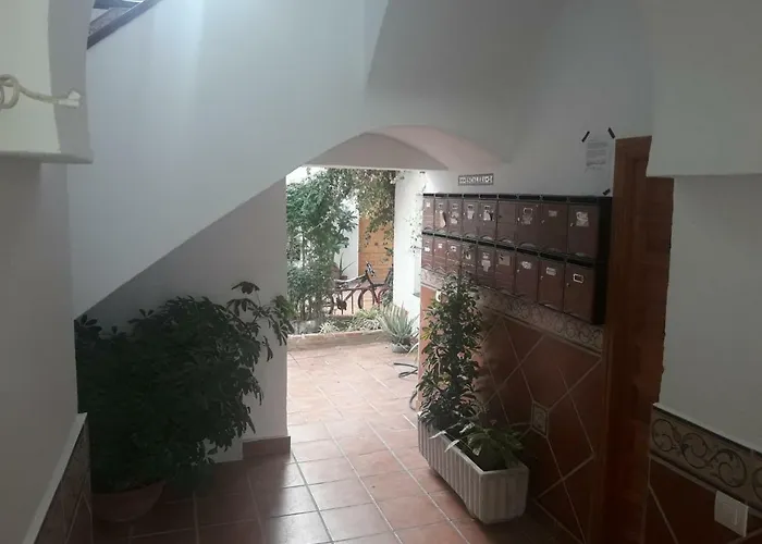 Mi Plaza Con Naranjos