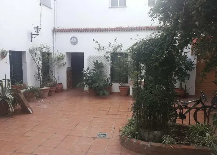 Mi Plaza Con Naranjos